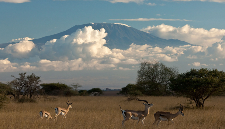 7 Safari Rides To Explore in Africa