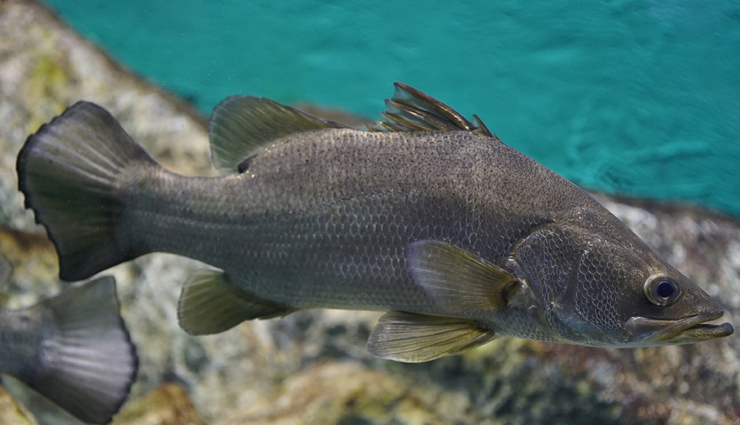 africa,facts about africa