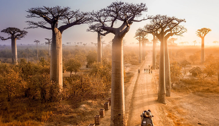 natural wonders in africa,africa,namib desert,namibia,the victoria falls,table mountain,cape town,south africa,avenue of the baobabs,menabe,madagascar,serengeti national park,tanzania,mount kilimanjaro,tanzania