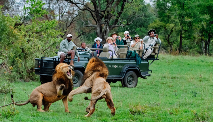 africa,safari rides in africa,duba plains,botswana,serengeti national park,tanzania,and maasai mara national reserve,kenya,chobe national park,volcanoes national park,rwanda,kruger national park,south africa,etosha national park,namibia,mana pools national park,zimbabwe