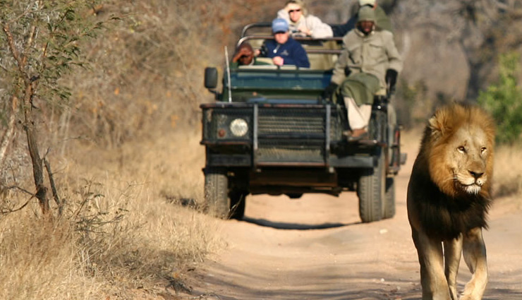 safari parks,safari parks in africa,africa