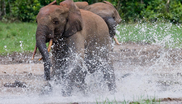 countries,list of countries start with letter c,travel,holidays