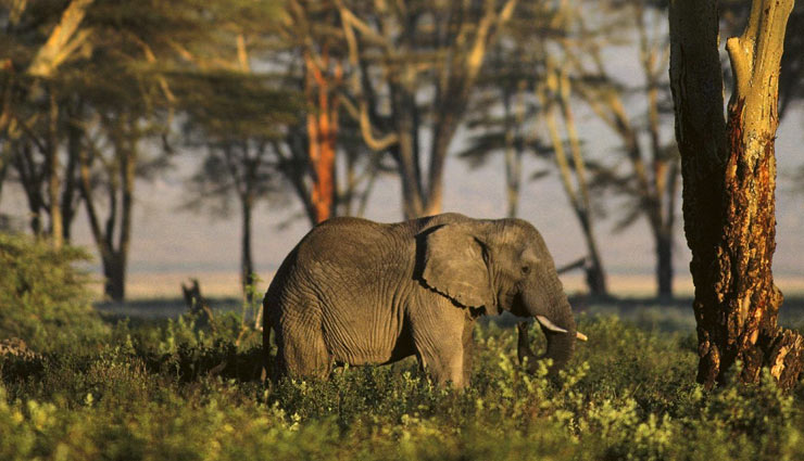 major attractions of agartala,agartala,tourist palces of agartala,travel,tourism,holidays