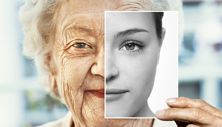 mushrooms,mushrooms health benefits,health benefits of mushrooms,healthy food mushrooms,healthy food,Health,Health tips