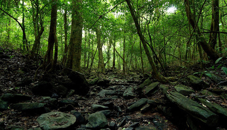 karnataka,places to visit in karnataka,monsoon destination in karnataka,ranganathittu bird sanctuary,nandi hills,brindavan gardens,nagarhole sanctuary,coastal karnataka