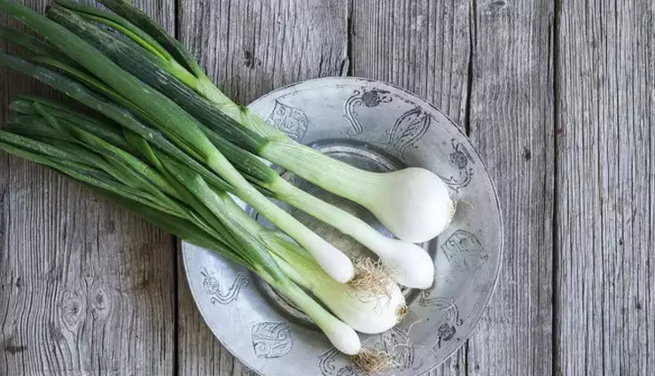 include these 10 things in the diet during winter,good health will remain,Health,healthy living