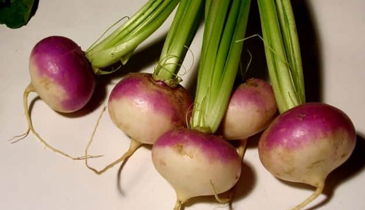 include these 10 things in the diet during winter,good health will remain,Health,healthy living