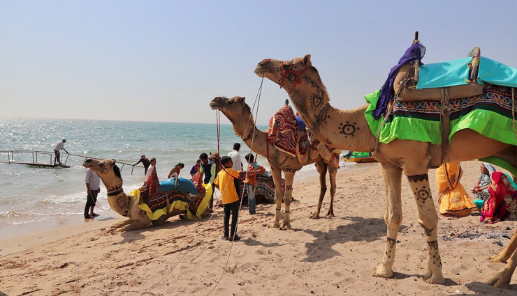 gujarat,gujarat tourism,tourist places in gujarat,holidays in gujarat,gujarat travel,holidays,travel guide,travel tips