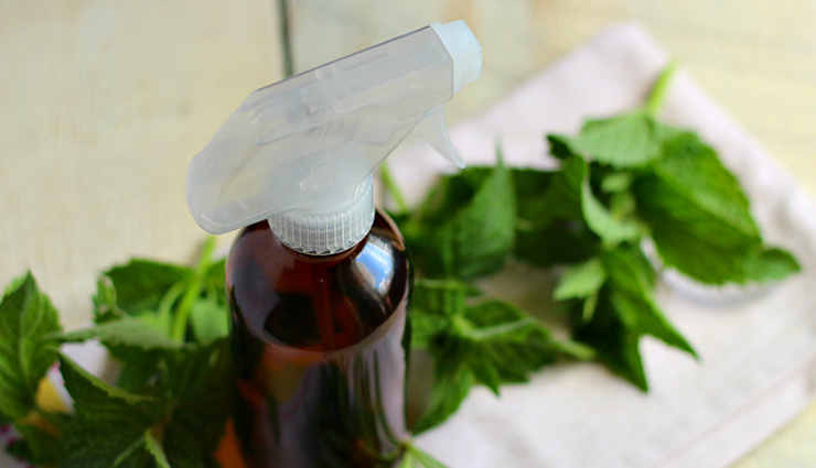 5 Homemade Natural Air Fresheners For Kitchen