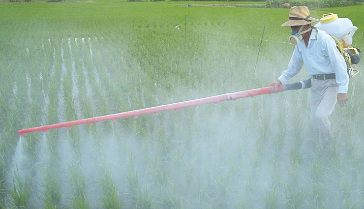 ajwain water,health benefits of ajwain water,Health tips,fitness tips