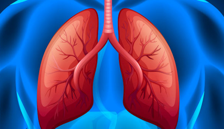 carom health benefits,ajwain benefits for health,health advantages of consuming carom,carom seeds nutrition,ajwains medicinal properties,ajwains health-promoting qualities,ajwain seed benefits,carom seeds for wellness,ajwains therapeutic benefits,incorporating carom into a healthy lifestyle