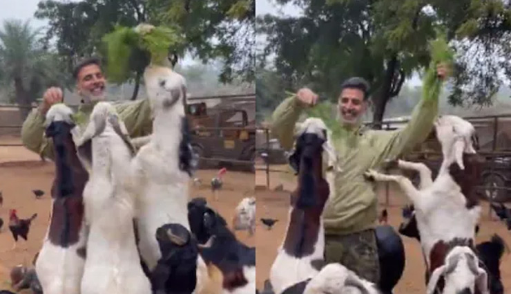 बकरियों के बीच घिरे अक्षय कुमार, वीडियो शेयर कर दिया ये खास मैसेज