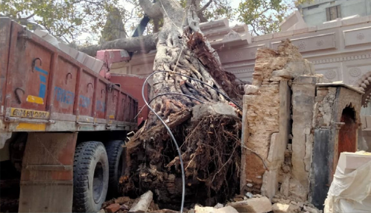 वाराणसी: प्रशासन की लापरवाही से गिरा काशी विश्वनाथ मंदिर के पास स्थित सैकड़ों वर्ष पुराना अक्षयवट वृक्ष