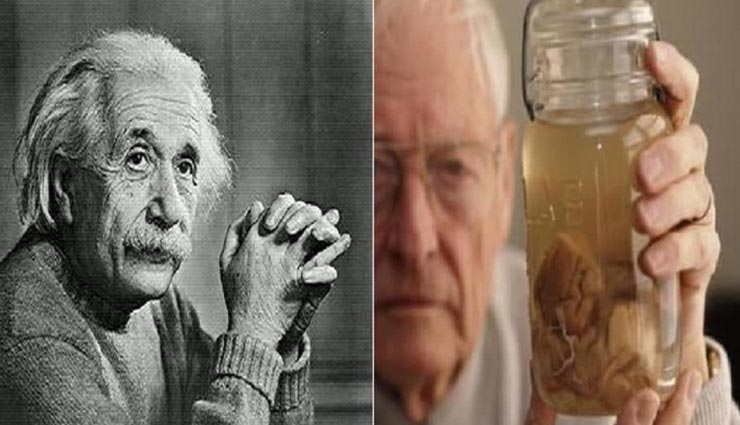 सैकड़ों साल से सुरक्षित रखे हुए हैं इन 3 महान वैज्ञानिक के जरूरी अंग