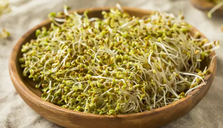 types of sprouts you must eat for weight loss,sprouts for weight loss,healthy living,Health tips