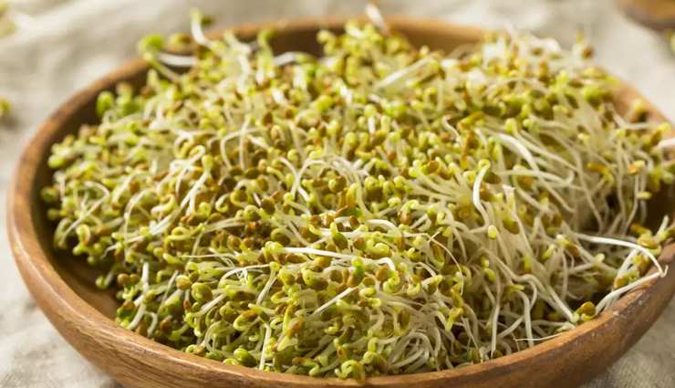 oxygen rich foods,oxygen rich foods in india,blood oxygen rich foods,oxygen rich foods list,oxygen rich foods or supplements,oxygen rich food and drink,best oxygen rich foods,oxygen rich foods chart,foods for oxygen rich blood,list of oxygen rich foods,top oxygen rich foods,healthy living,Health tips