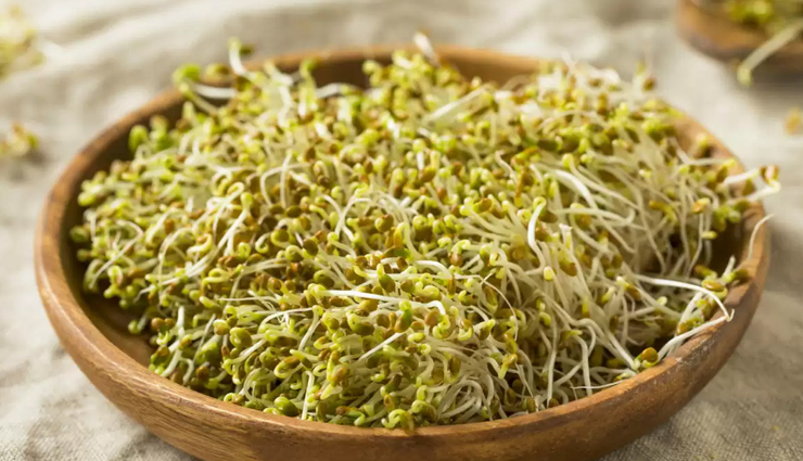6 Proven Health Benefits of Alfalfa Sprouts