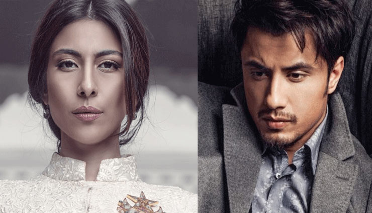 मीशा शफी ने कोर्ट में सुनाई आपबीती, कहा- अली जफर ने दो से ज्यादा बार मेरा यौन उत्पीड़न किया bollywood,meesha shafi,ali zafar,metoo,sexual harassment,pakistan