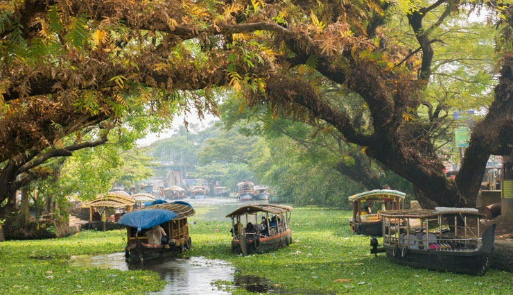 places to visit in kerala in october,kerala october destinations,best places to visit in kerala,alleppey backwaters,kochi attractions,munnar hill station,kerala travel guide,wayanad wildlife,varkala beaches,periyar wildlife sanctuary,october travel kerala,kerala tourism,must-visit kerala in october,best time to visit kerala,kerala sightseeing in october