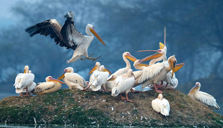 alleppey,things to enjoy in alleppey places to visit in alleppey,kerala