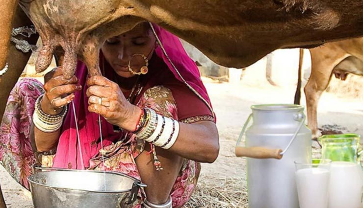 एलर्जी की वजह बनते हैं ये 7 आहार, संभलकर करें इनका सेवन allergic foods,foods to avoid,Health tips,fitness tips