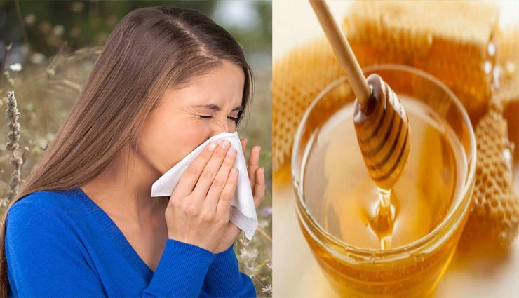 Health tips,health tips in hindi,dust allergy,home remedies,remedies of dust allergy