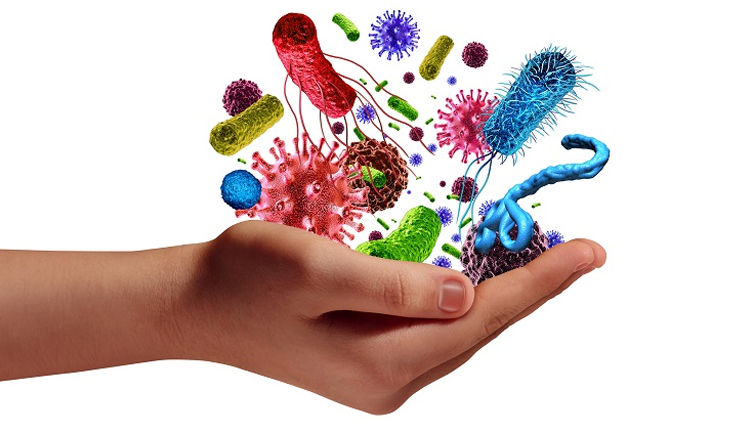 allspice,health benefits of allspice,Health tips,fitness tips