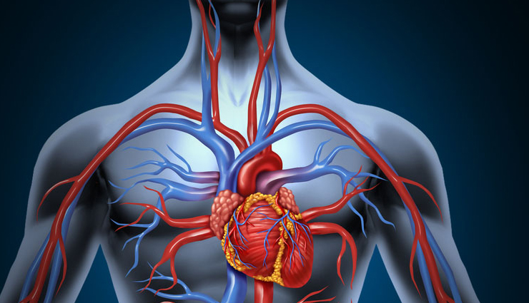 allspice,health benefits of allspice,Health tips,fitness tips