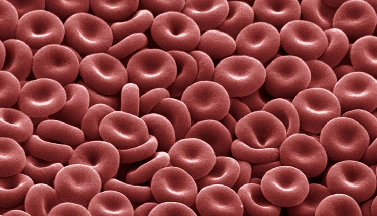 allspice,health benefits of allspice,Health tips,fitness tips