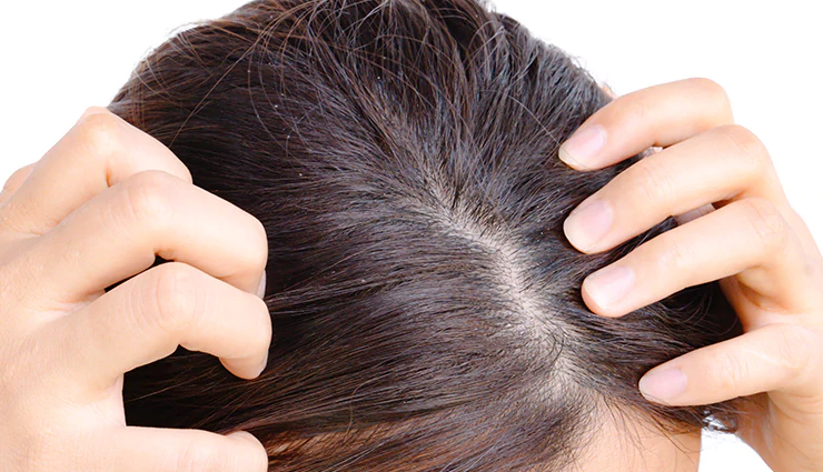 almond oil for hair,almond oil,beauty benefits of almond oil,hair care tips,beauty tips