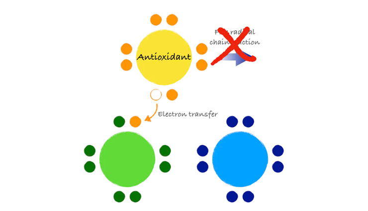 Almonds,health benefits of almonds,Health tips,fitness tips