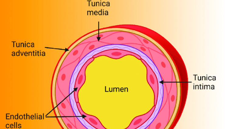 Almonds,health benefits of almonds,Health tips,fitness tips