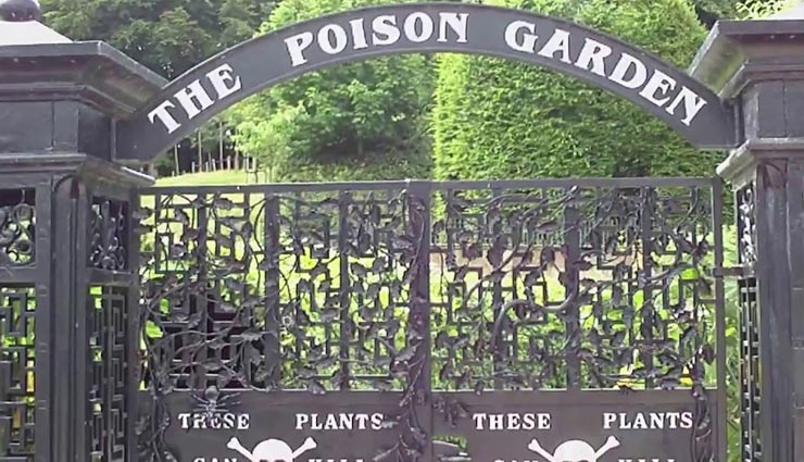 जहरीले पेड़ों से भरा है ये गार्डन, पल भर में ले सकता है आपकी जान