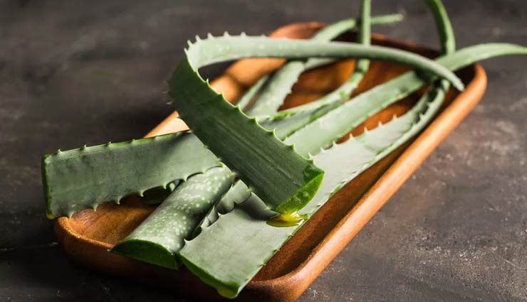 oily skin,aloe vera for oily skin,skin care tips,beauty tips,benefits of aloe vera,beauty benefits of aloe vera