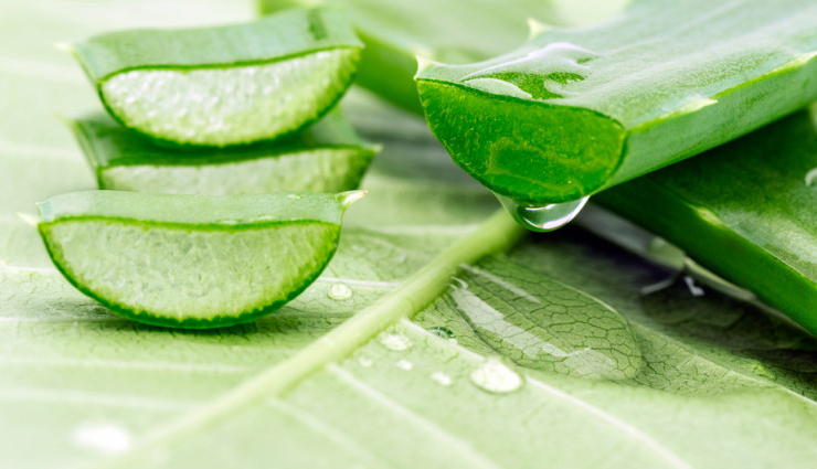 beauty tips,oatmeal,cucumber,5 ways to treat sun allergies in all natural way,yogurt and coconut,aloe vera,lavender oil,tips to treat skin allergies at home,natural ways to treat skin allergies,how to get rid of skin allergies,how to keep skin good in summers