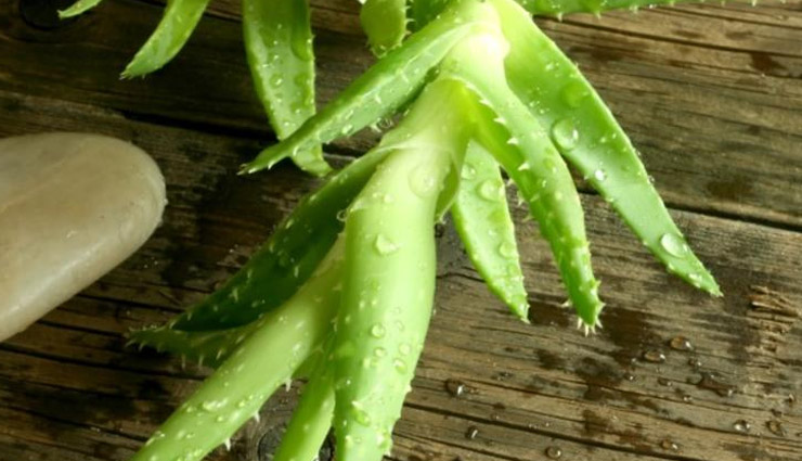 beauty tips,skin care tips,easiest ways to get rid of stretch marks,home remedies to get rid of stretch marks