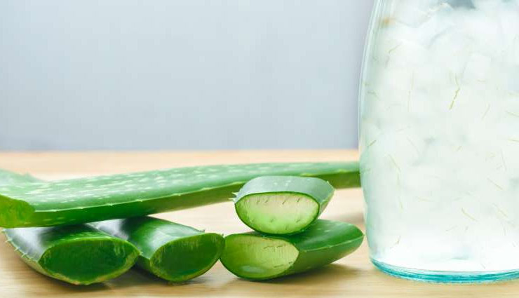 एलोवेरा का इस्तेमाल करें जरा संभलकर, फायदे की जगह होगा नुकसान aloe vera,aloe vera gel,aloe vera juice,side effects of aloe vera,benefits of aloe vera juice,side effects of aloe vera juice,aloe vera juice benefits,aloe vera juice side effects,aloe uses,aloe vera side effects,aloe vera interactions,aloe vera warnings,Health tips,health tips in hindi