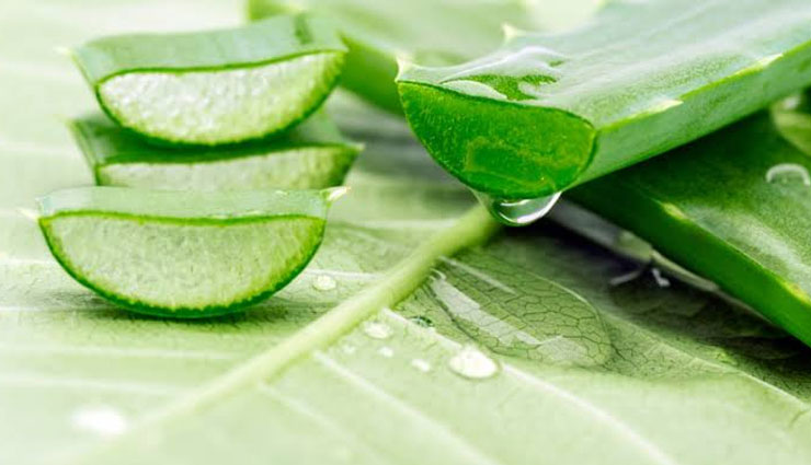 moisturizers,natural moisturizers,home made moisturizers,moisturizers for beauty,moisturizers for soft skin,beauty,beauty tips,Olive Oil,coconut oil,honey,glycerin,aloe vera