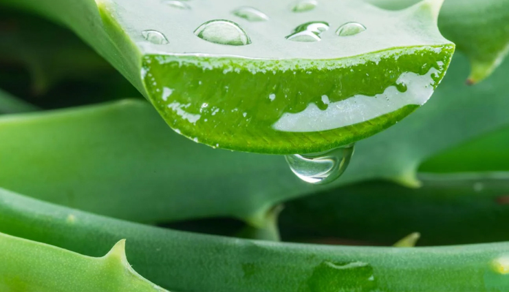 armpit lump home remedies,natural remedies for armpit lumps,home treatments for armpit swelling,diy remedies for armpit bumps,home care for armpit lump relief,self-help remedies for armpit lumps,armpit lump pain relief at home,armpit lump healing techniques,effective home solutions for armpit swollen glands,armpit lump home treatment tips