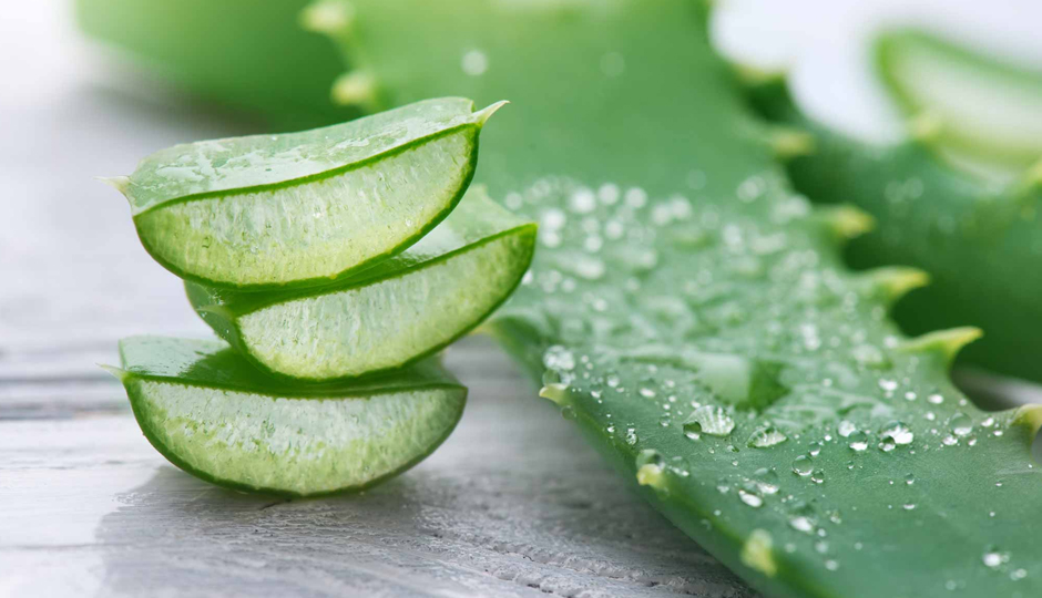 10 DIY Ways to Use Aloe Vera for Skin and Hair