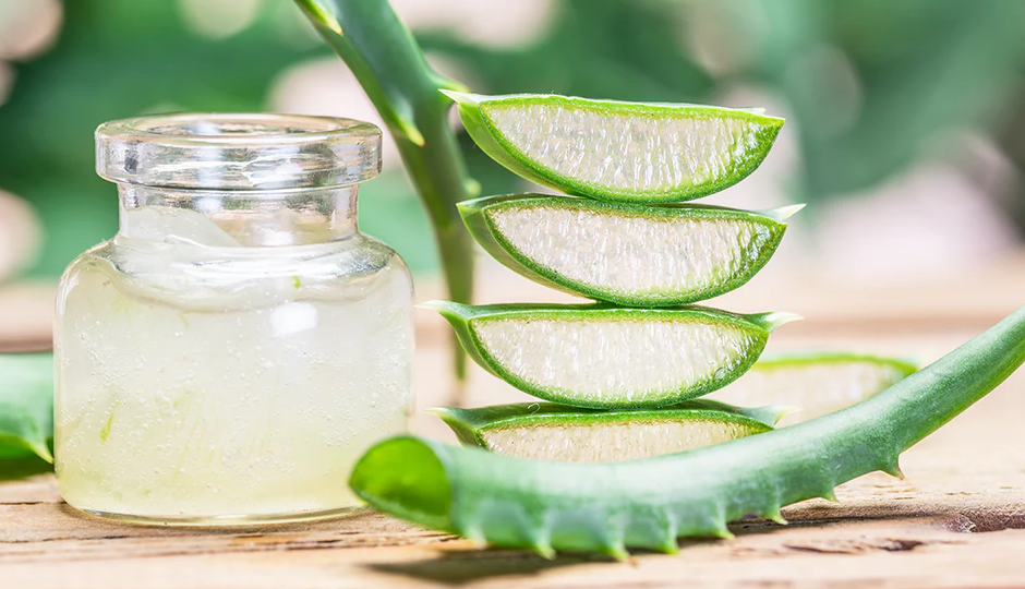 10 DIY Ways To Use Aloe Vera for Skin and Hair