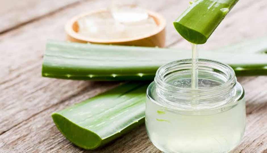 10 Reasons To Use Aloe Vera During Summers