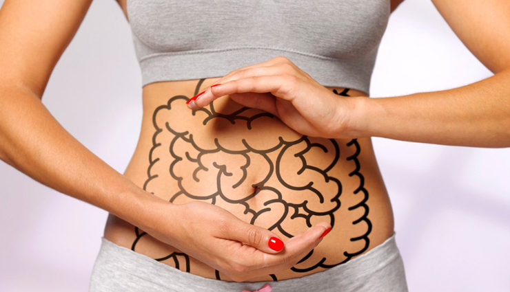 aloe vera,health benefits of aloe vera,Health tips,fitness tips