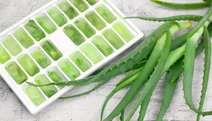aloe vera,health benefits of aloe vera,Health tips,fitness tips