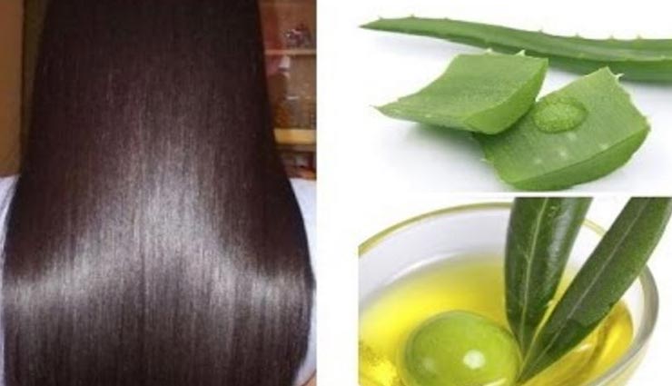 beauty tips,beauty tips in hindi,dry hair remedy,homemade conditioners,hair care tips