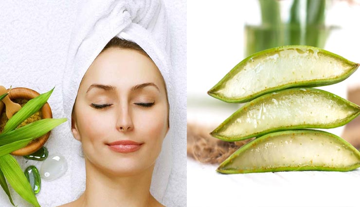 त्वचा की हर समस्या का इलाज हैं एलोवेरा, ये 5 फेसपैक दूर करेंगे आपकी सभी परेशानी