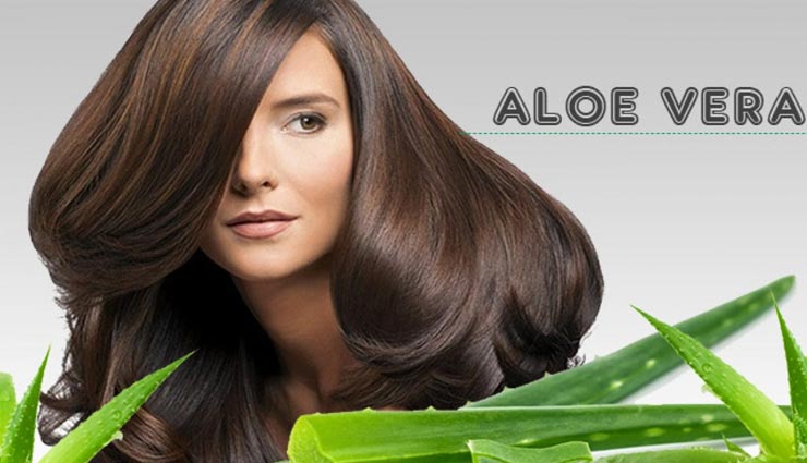 beauty tips,beauty tips in hindi,homemade hair cleanser,hair care tips