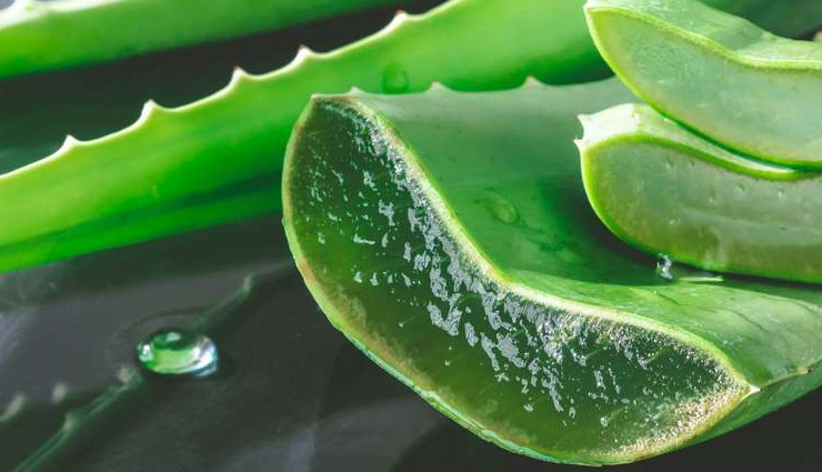 turmeric,rose,skin care tips,neem,aloe vera,5 herbs that will help you get clear skin,herbs to get glowing skin,sandalwood