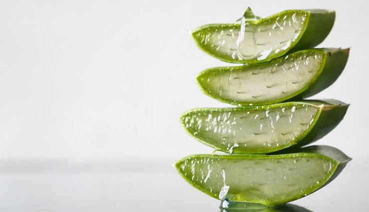 beauty benefits of using aloe vera gel,aloe vera gel,benefits of aloe vera gel for face,beauty tips,skin care tips,hair care tips