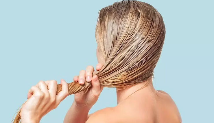 बालों के साथ स्किन को भी फायदा पहुंचाता हैं एलोवेरा ऑयल, जानें इसके बारे में aloe vera oil benefits for skin and hair,benefits of aloe vera oil for skincare and haircare,amazing benefits of aloe vera oil for skin and hair,aloe vera oil advantages for skin and hair health,aloe vera oil uses for skin and hair improvement,how aloe vera oil benefits skin and hair,aloe vera oil benefits and uses for skin and hair,enhancing skin and hair with aloe vera oil benefits,aloe vera oil properties for skin and hair enhancement,aloe vera oil benefits: skin and hair revitalization